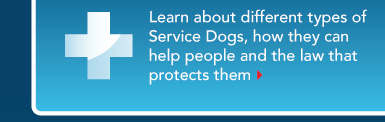Learn about the types of Service Dogs